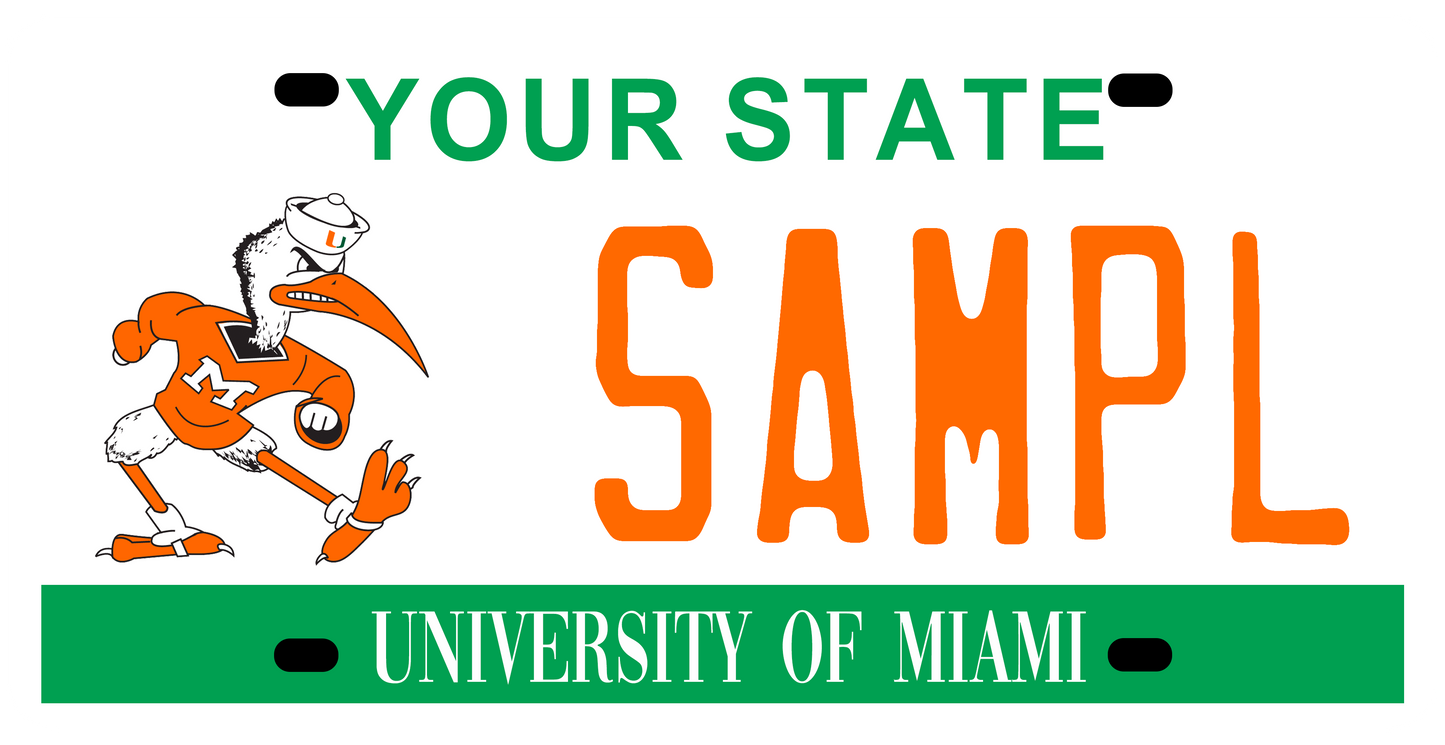 University of Miami - Classic - Template