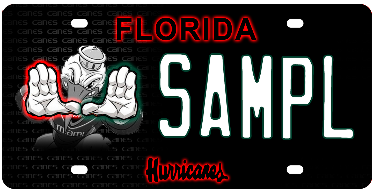 University of Miami - Ibis 2 - Template